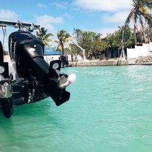 Meet your Posher, Lilly